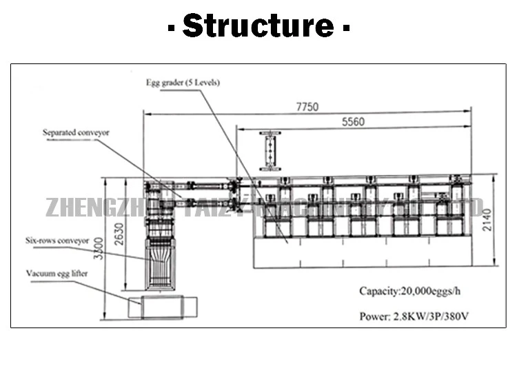 Egg Sorting Machine design diagram Egg Sorting Machine design diagram