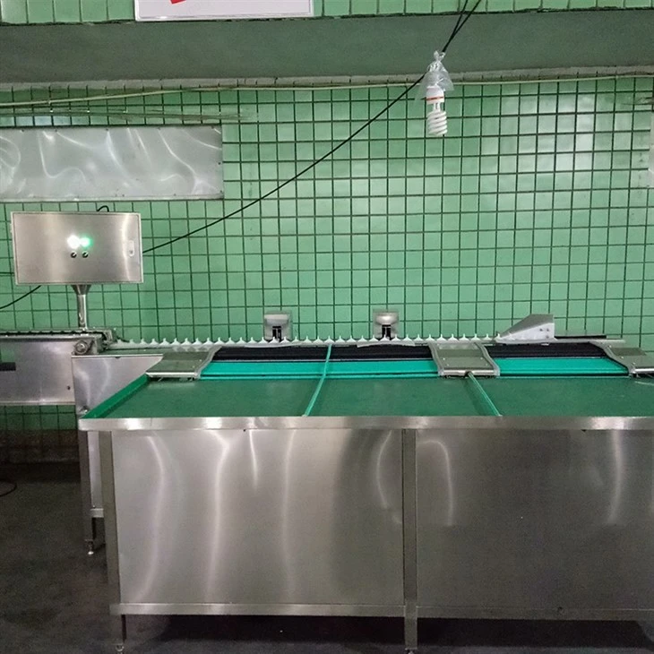 egg grading machine
