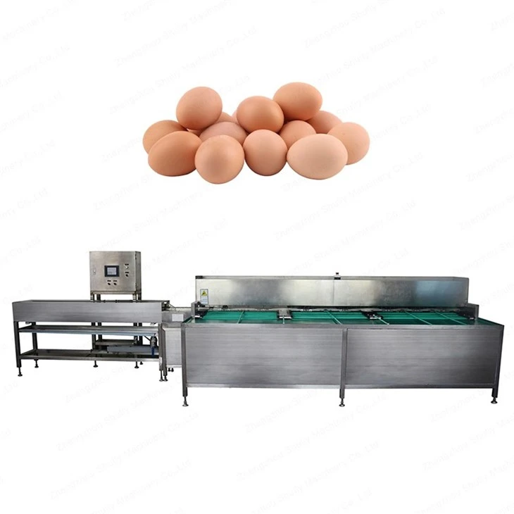 egg sorting machine