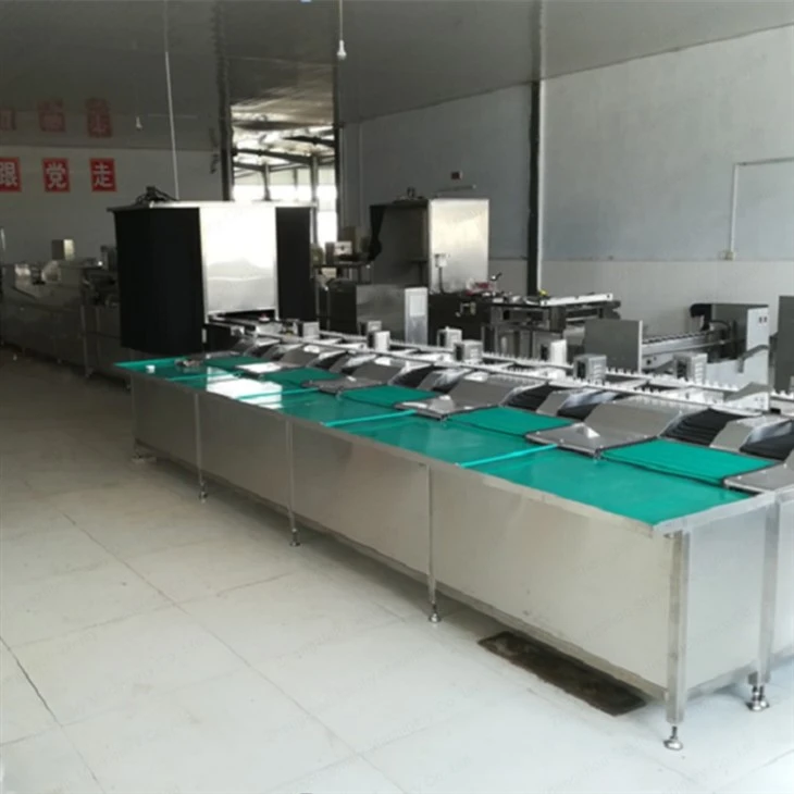 egg weighing and grading machine