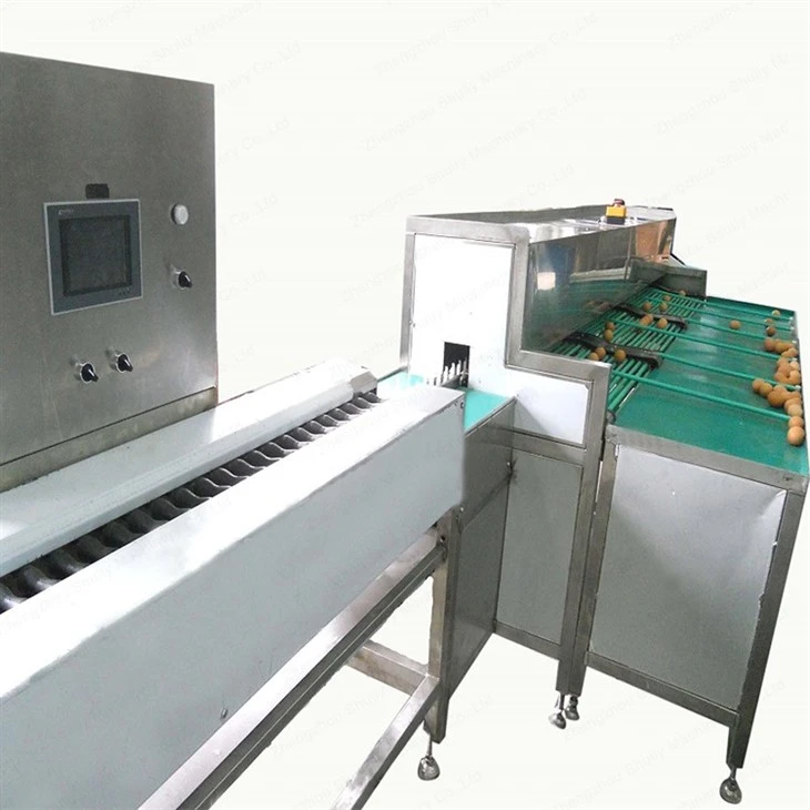 egg sorting equipment