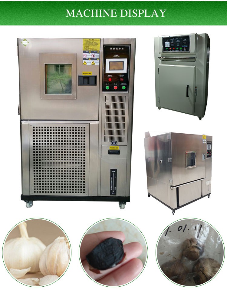 Black Garlic Maker Machine Black Garlic Maker Machine
